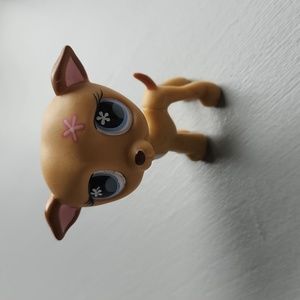 Littlest Pet Shop LPS #498 Tan Caramel WHIPPET GREYHOUND PUPPY DOG Flower Eyes